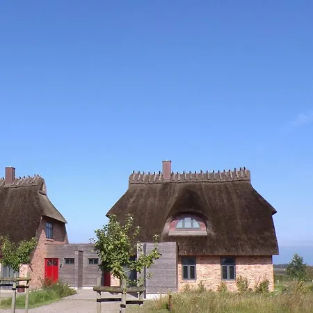 Reetdorf Geltinger Birk Malerhaus Torflinse * Nieby (Nieby, Schleswig-Flensburg)